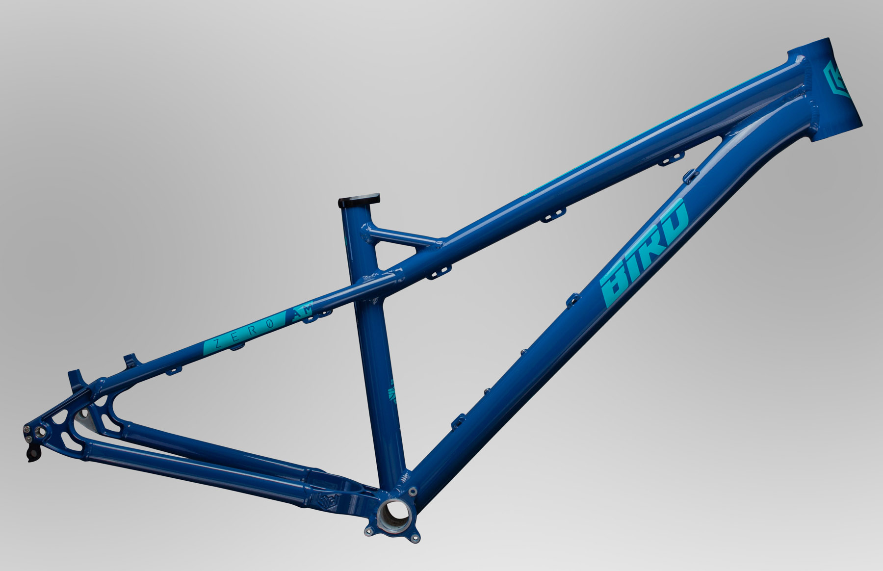 Bird Zero AM (2019-2022) Frame - Reviews, Comparisons, Specs