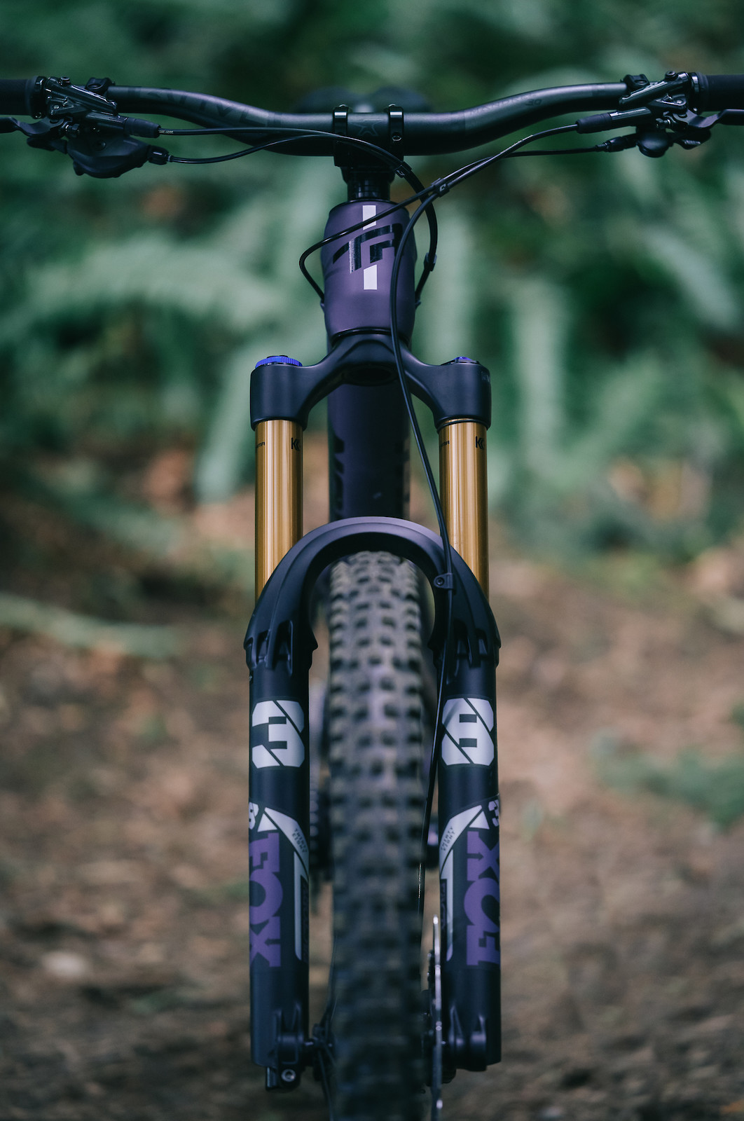 transition carbon frame