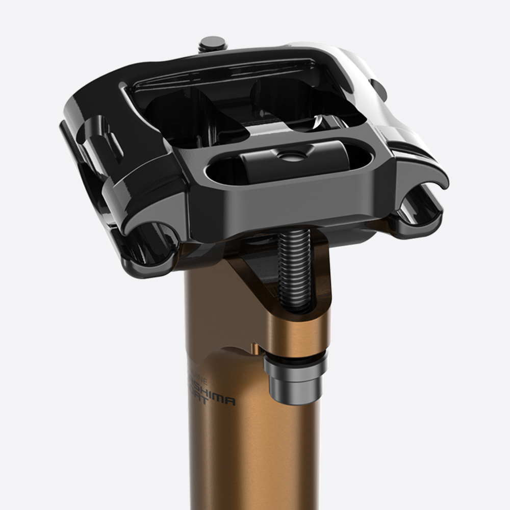 FOX Transfer SL Factory Seatpost - Reviews, Comparisons, Specs
