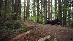 From Slide to Ride, How Darrington Used MTB to Recover from Disaster (Creator Series 1/10)