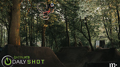 Flying in the Forest - Daily Shot
