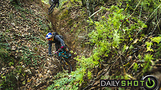 Rut Race - Daily Shot