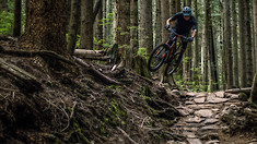 Making Blacks Out of Blues - Thomas Vanderham Makes His Own Lines