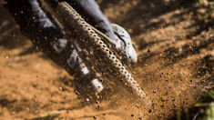 Make Your Voice Heard - Take the Vital MTB Survey!