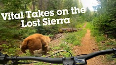 Vital Takes on the Lost Sierra