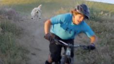 Andrew Taylor and His Trail Dog, Stevie Sticks