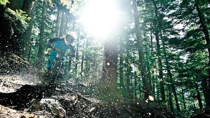 Photo by Margus Riga