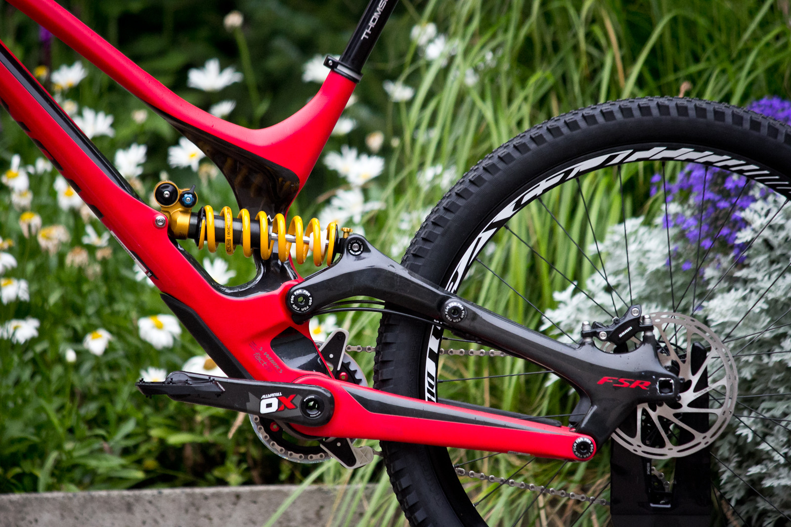 specialized comp disc