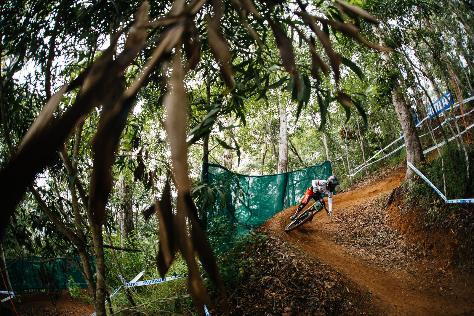 FINAL RESULTS Cairns World Cup Downhill Mountain Bike News Story