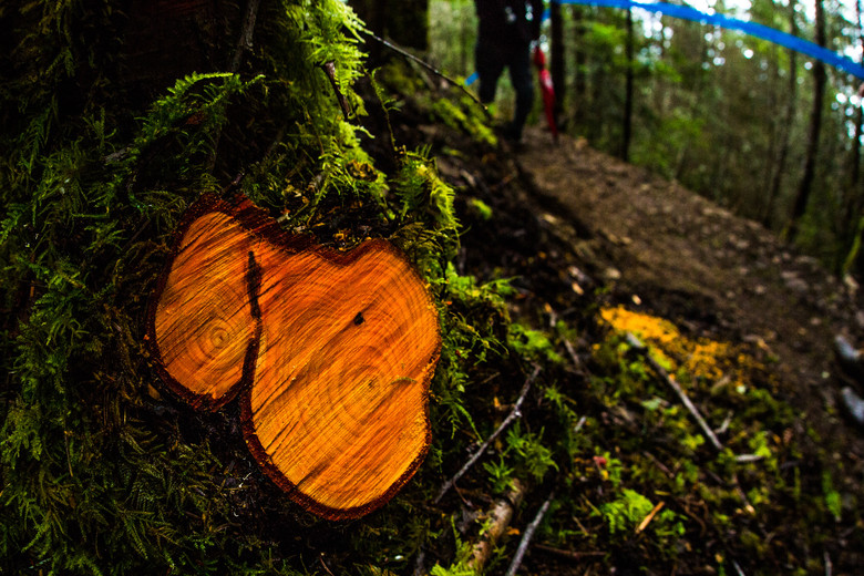 This is The Orange Stump. Not an offical course marker, but notable enough for riders to already be using it as a reference point.