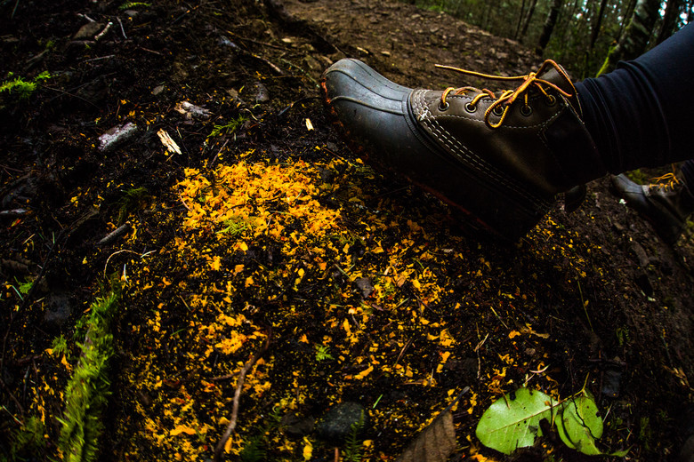 The saw dust from the Orange stump was fashionably matched to Ryen Melton's L.L. Bean boots. #mtbfashion