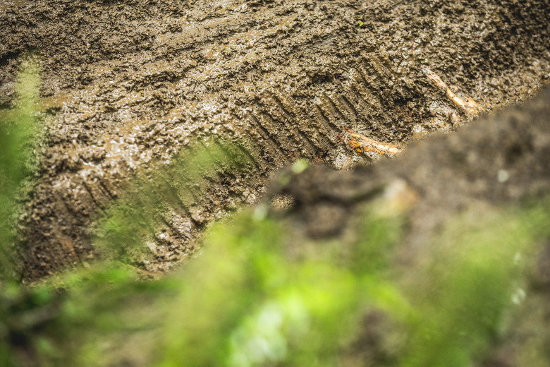 By Finals, the ruts were deep and the sneaky slick roots were starting to emerge.