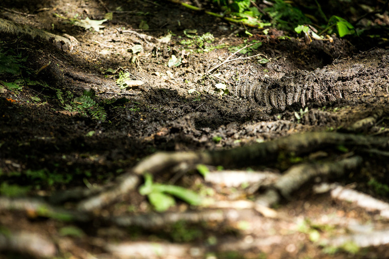 The ruts came out early and only grew in size and number.