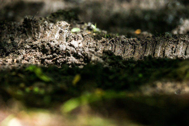 The tire ridges were like little mountains when you were down low all day like I was.