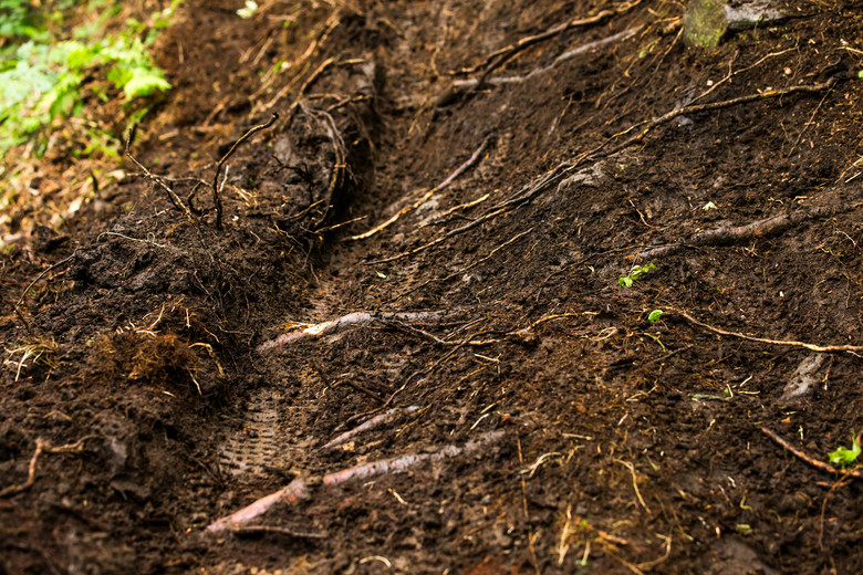 The ruts hold lies, as they are filled with sniper roots and rocks...smash at your own risk.