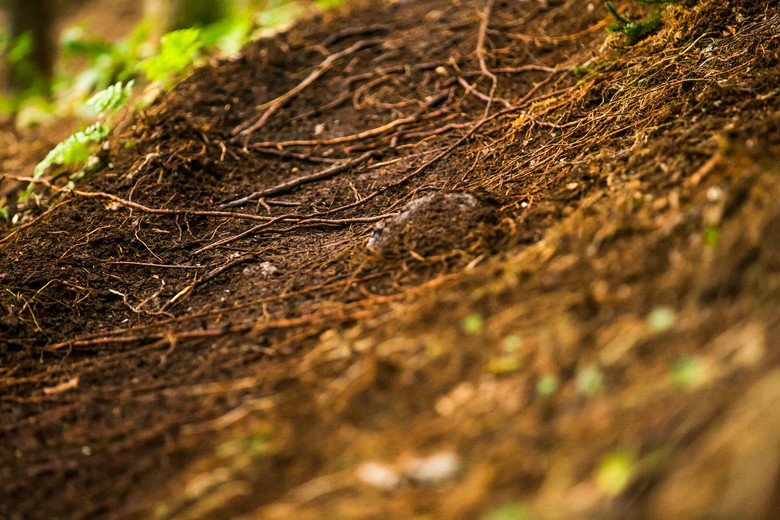 New England doesn't do deep topsoil, so once it gets turned out, the little buddies hiding underneath come out to play and cause issues with traction.