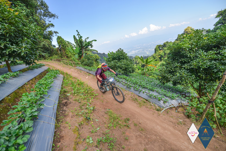 mountain bike thailand