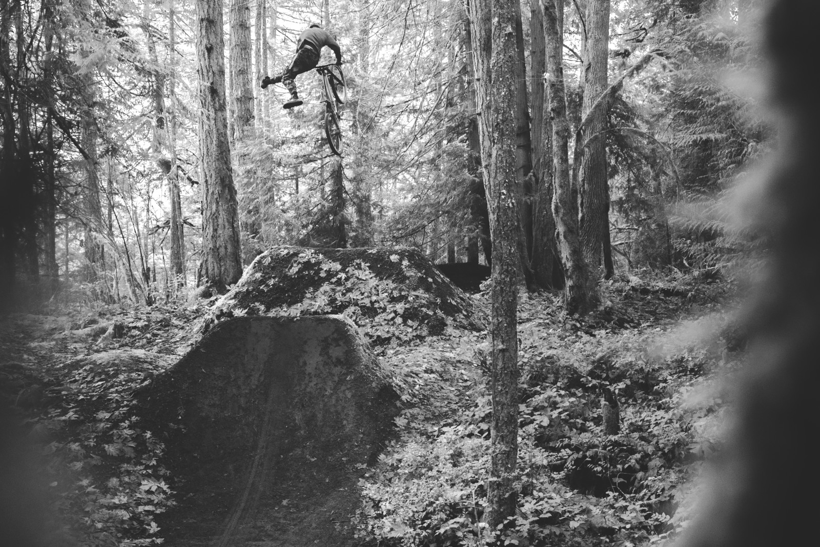 kicking it out in the forest