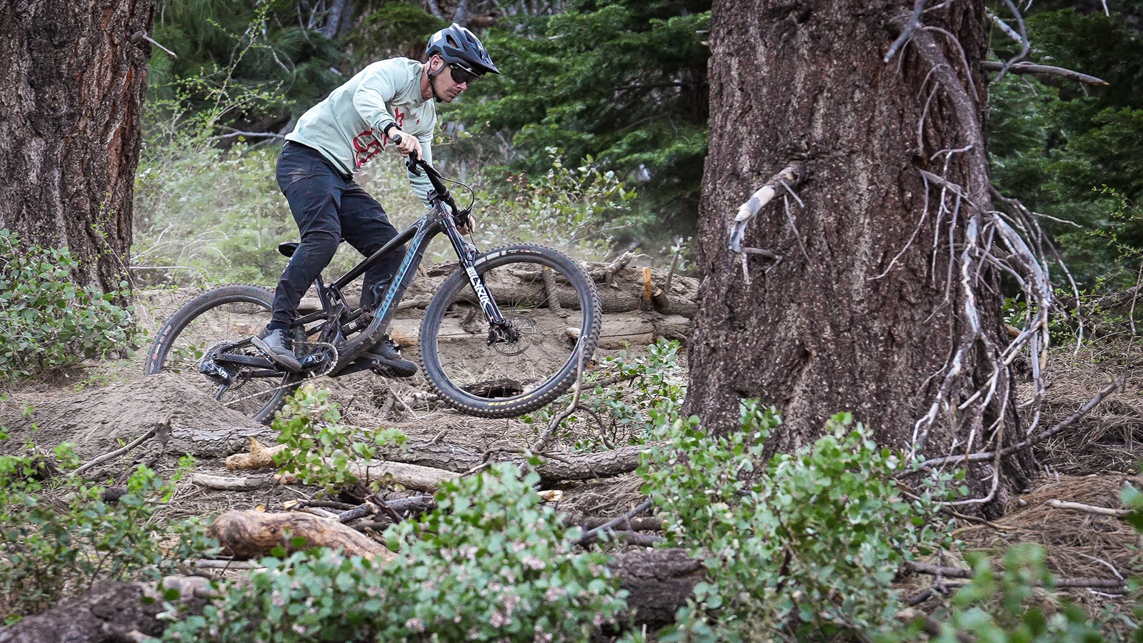 fox factory 36 vs lyrik