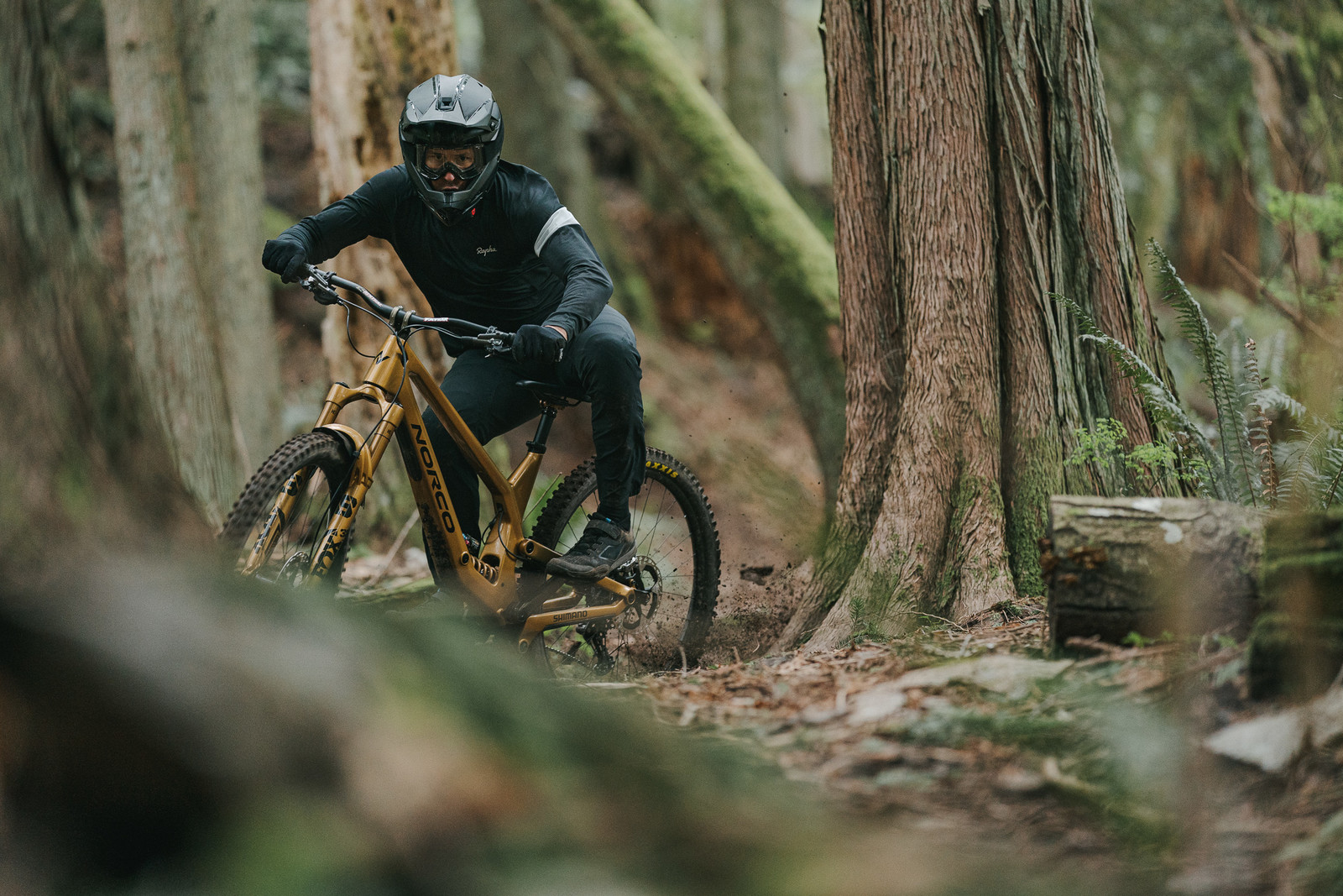 BICYCLE GOLD STANDARDBICYCLE STANDARD GOLD