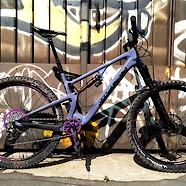 Santa Cruz 5010 Purple Haze edition