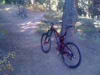 trailpimp33