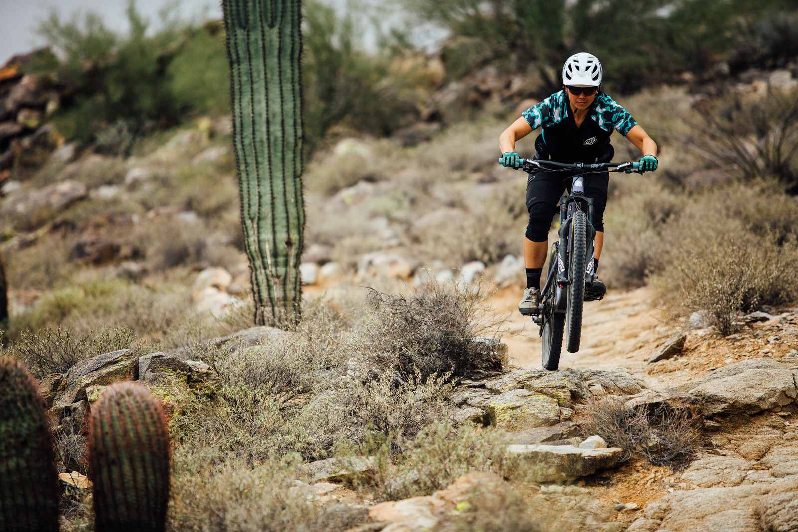 2016 juliana roubion