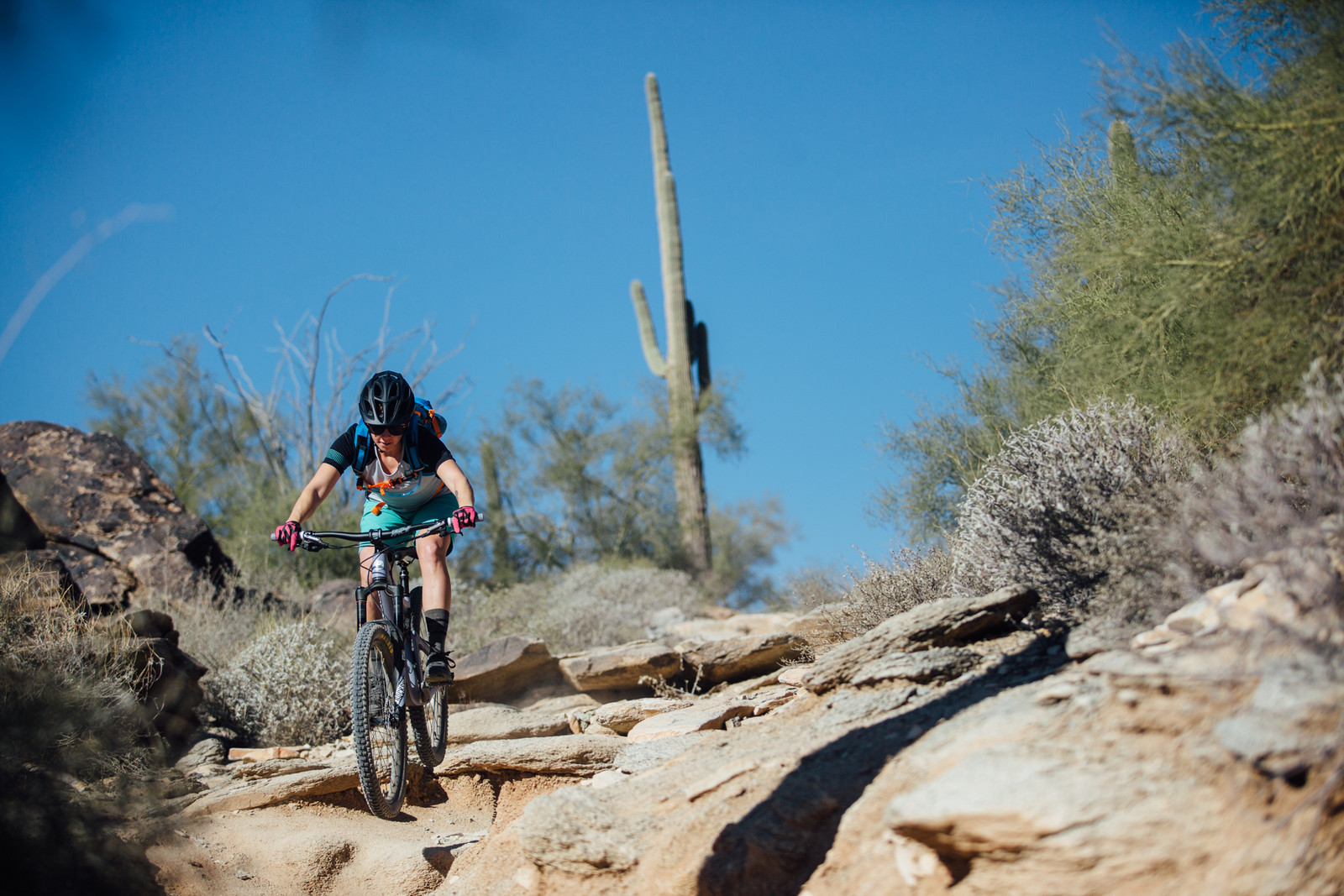 2016 juliana roubion