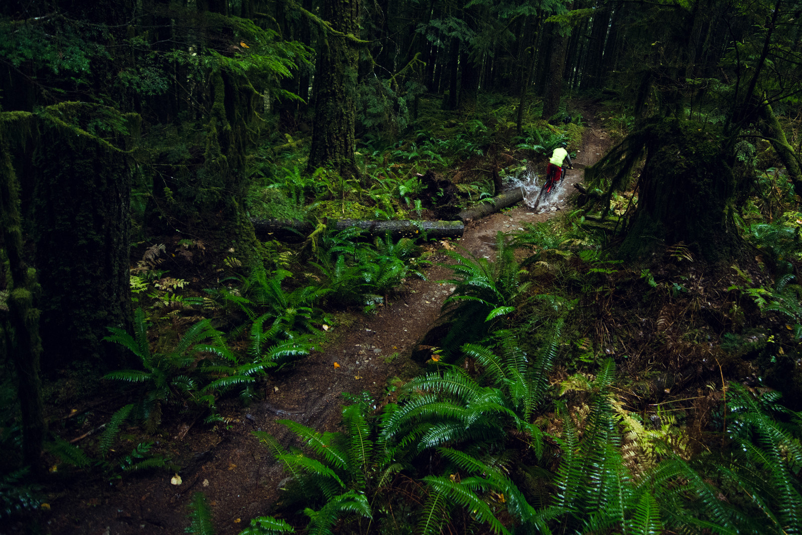 trek slash 9.9 race shop limited