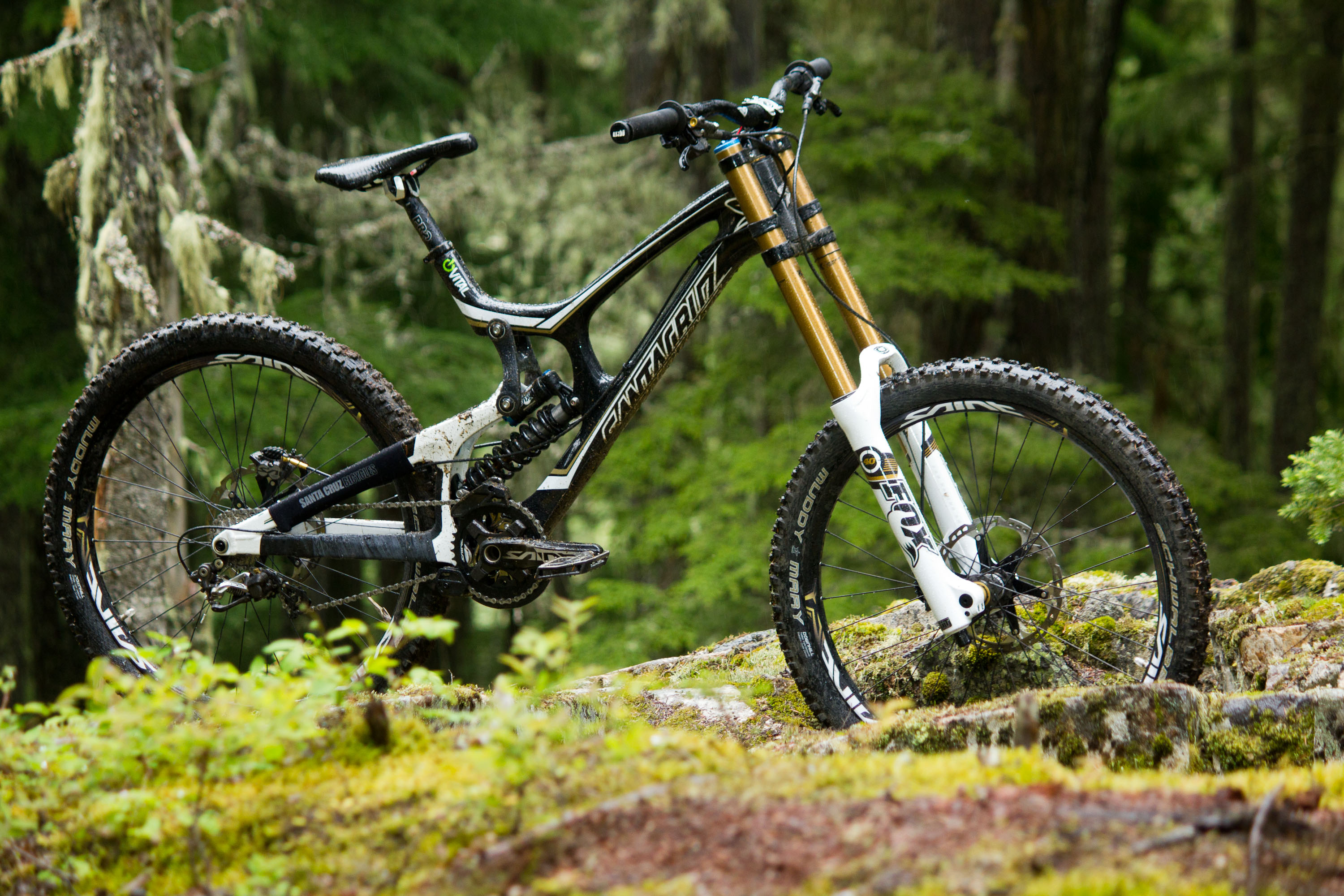 First Look: Vital's Pre-Production Shimano Saint Equipped V-10 Carbon