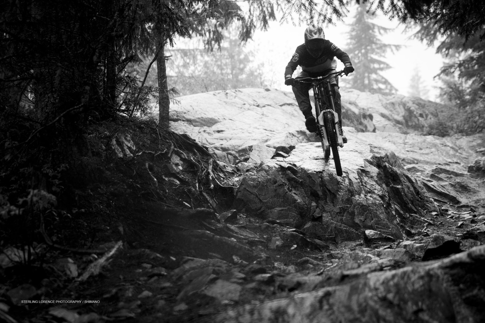 Up Front Fox 40 Fit Rc2 Fork First Look Vital S Pre