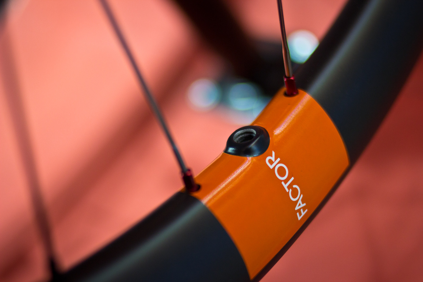 Novatec Factor Carbon Wheels 2014 Mountain Bike Components at