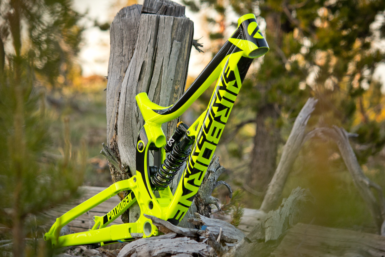 airborne taka downhill bike