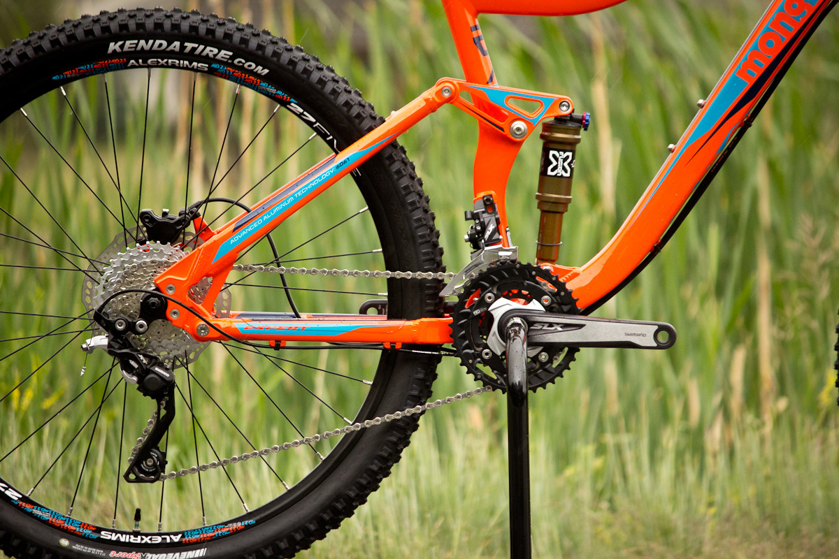 mongoose teocali expert