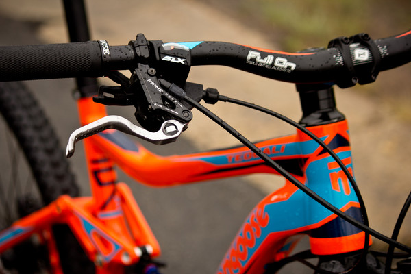 mongoose teocali expert