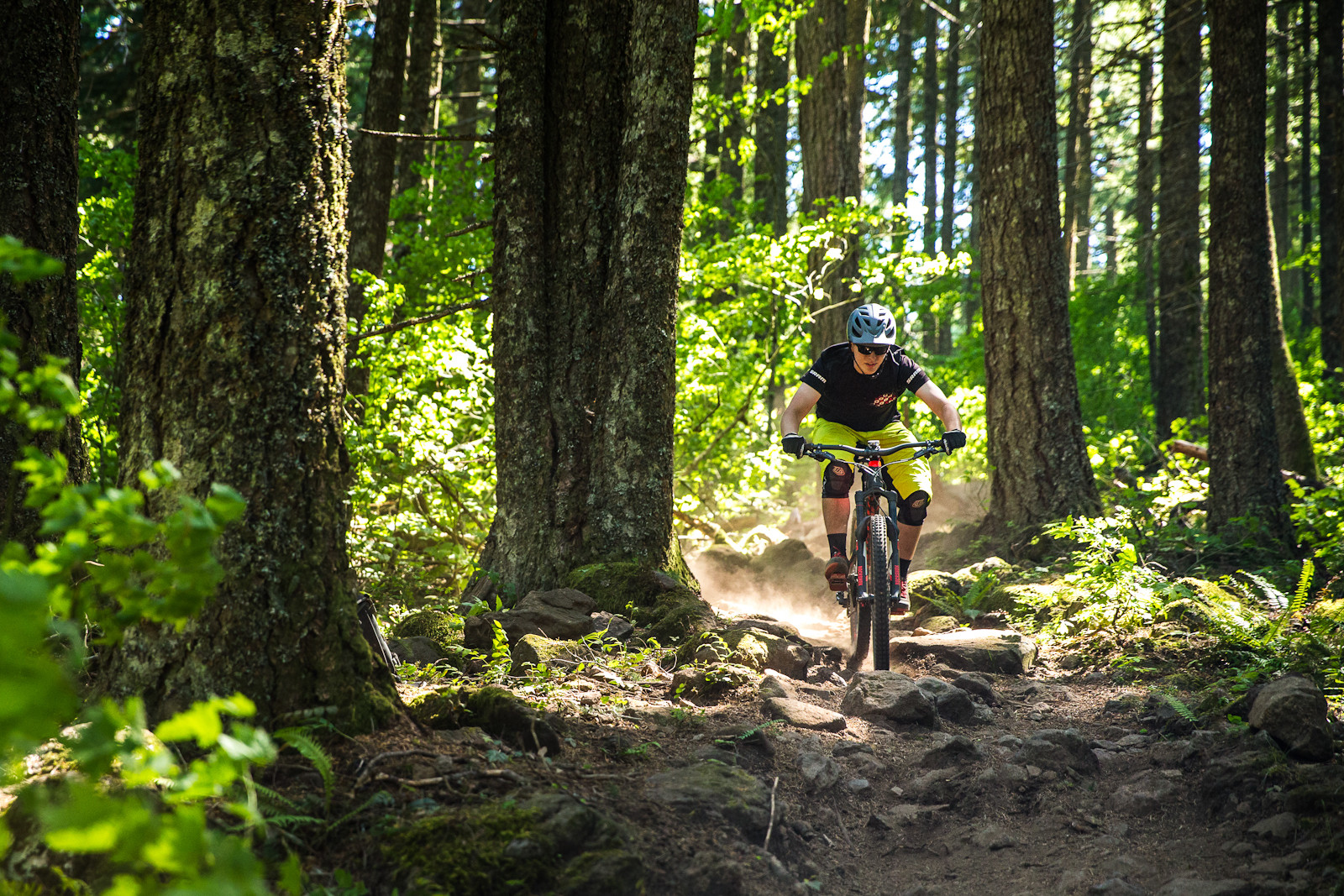 specialized enduro 29 2015