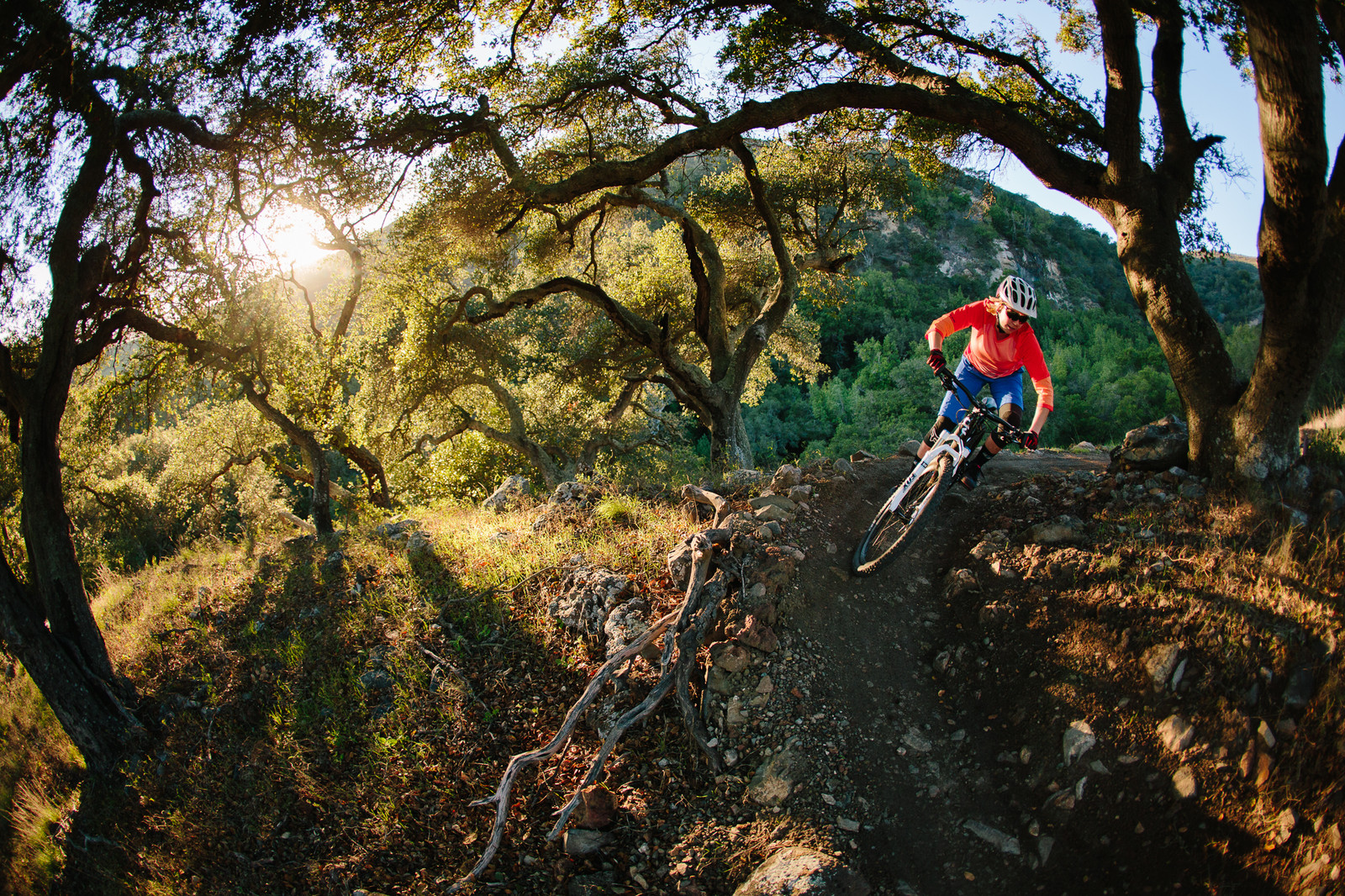 specialized pro sl bib shorts