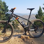 NS Eccentric Alu Evo 27.5
