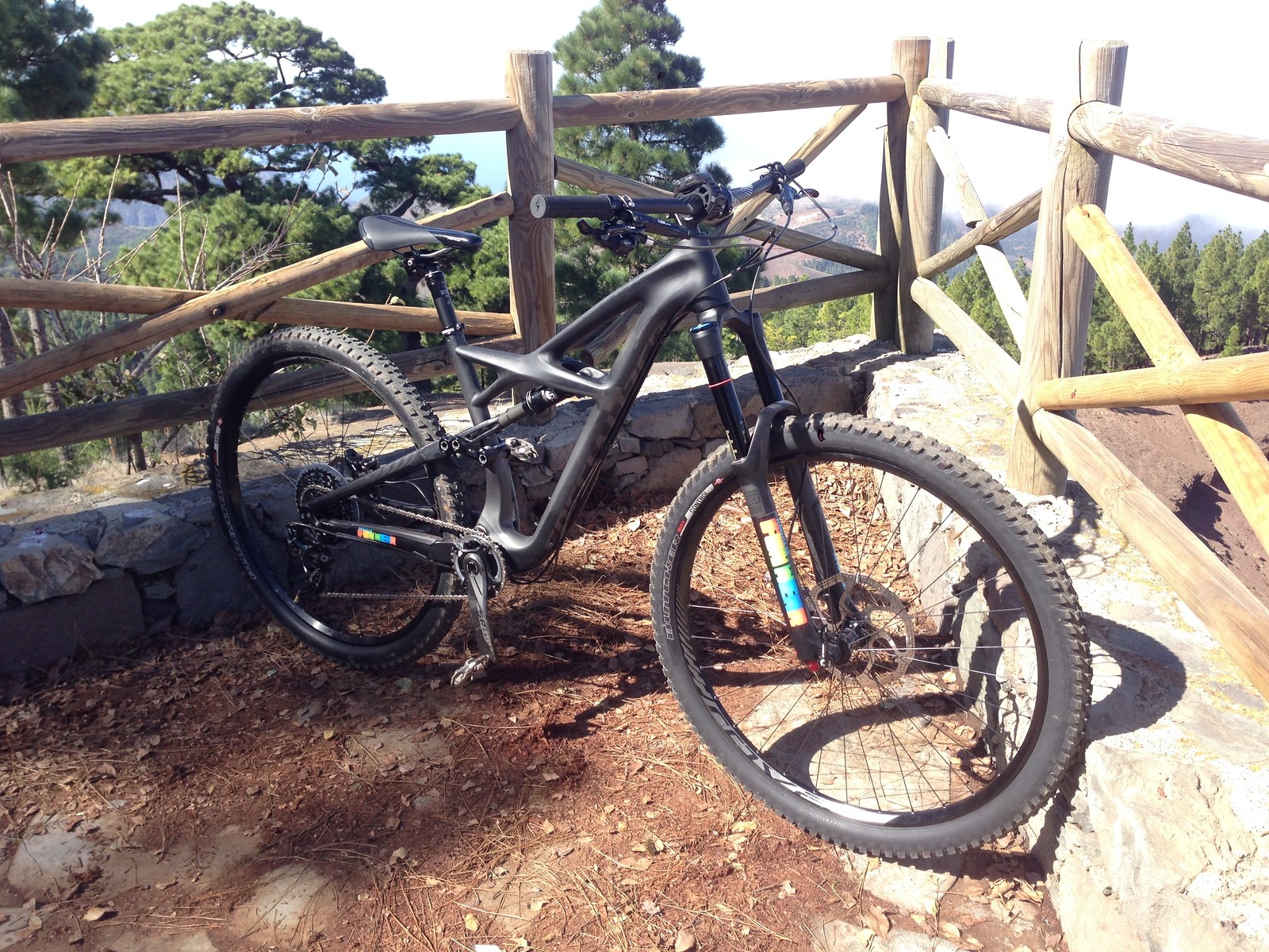 enduro expert carbon 29