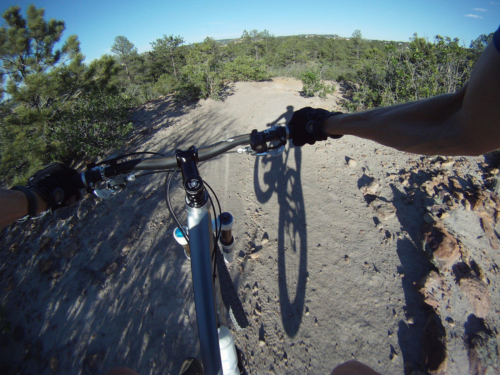 mountain bike ute mount