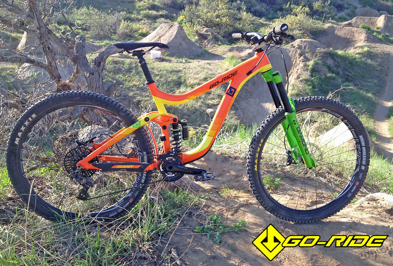 giant reign dvo