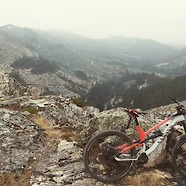 Canyon Torque CF7.0