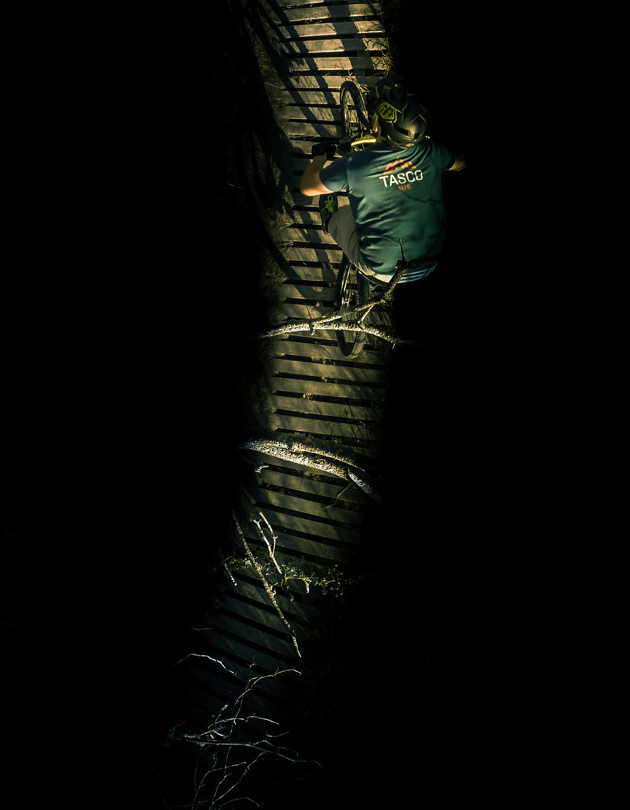 the mountain bike project