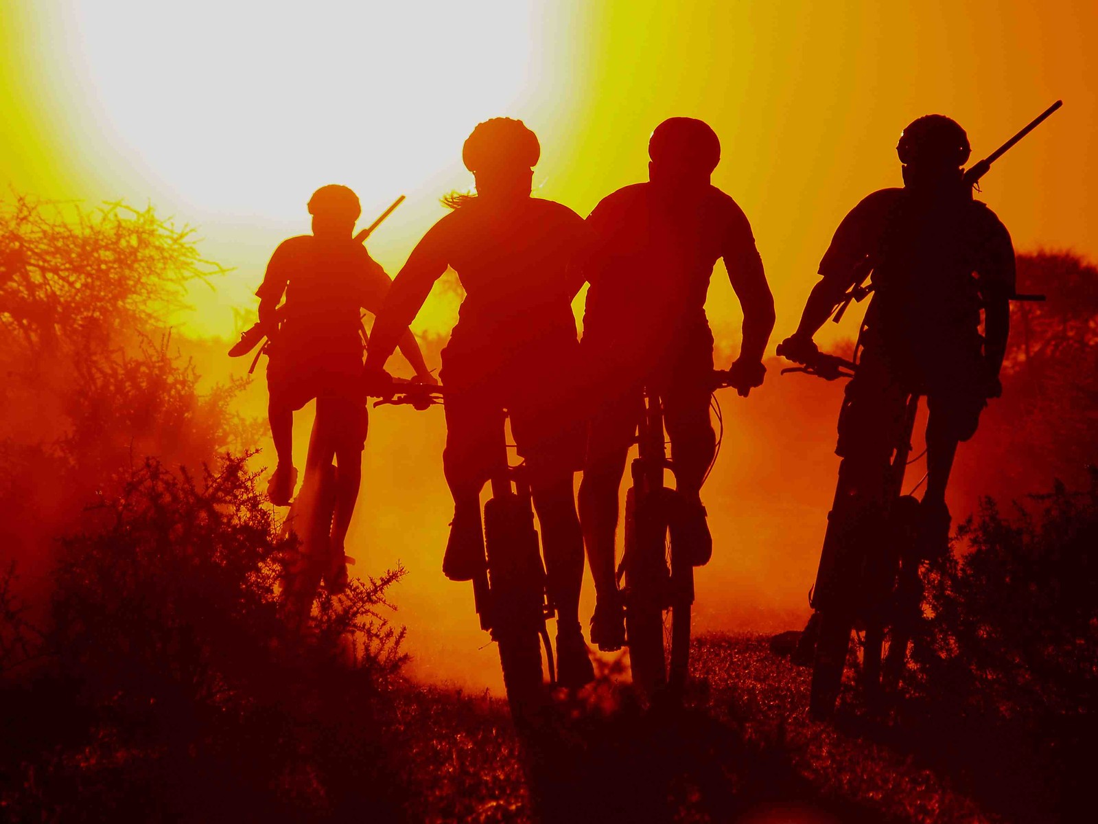 big mountain mountain biking