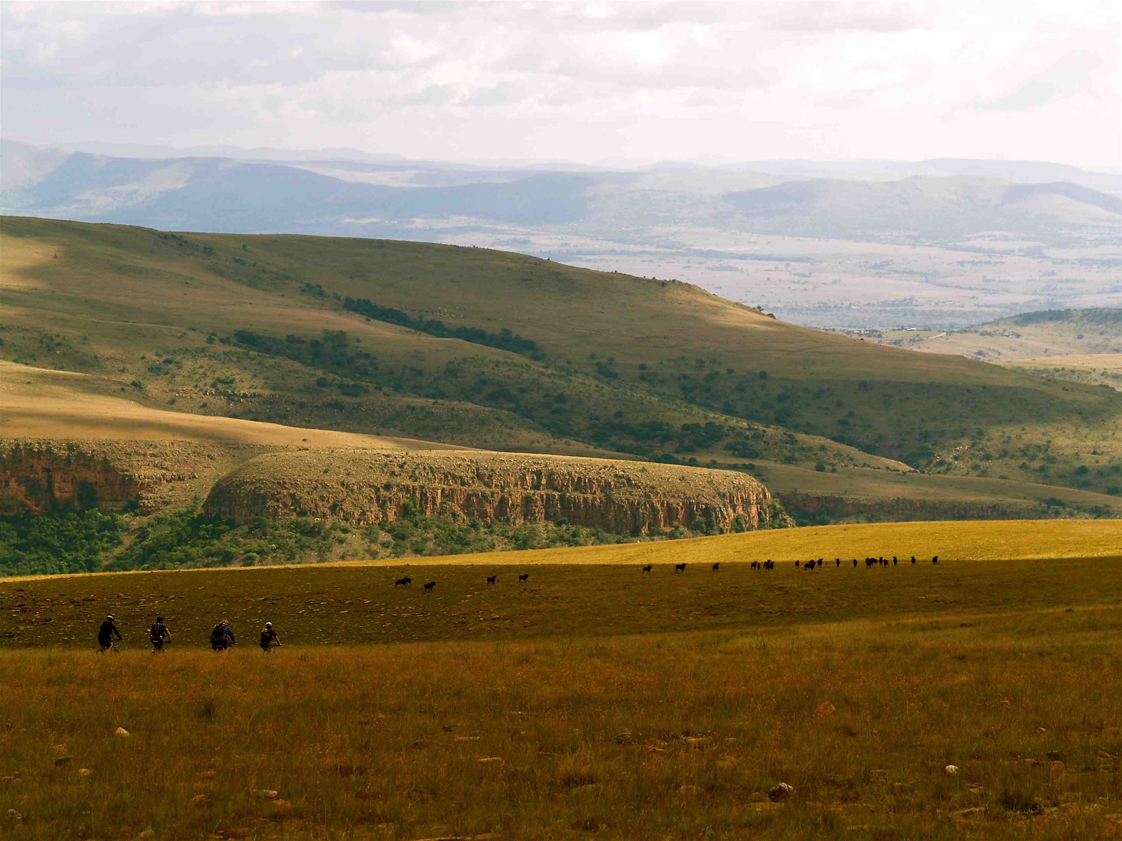 big mountain mountain biking