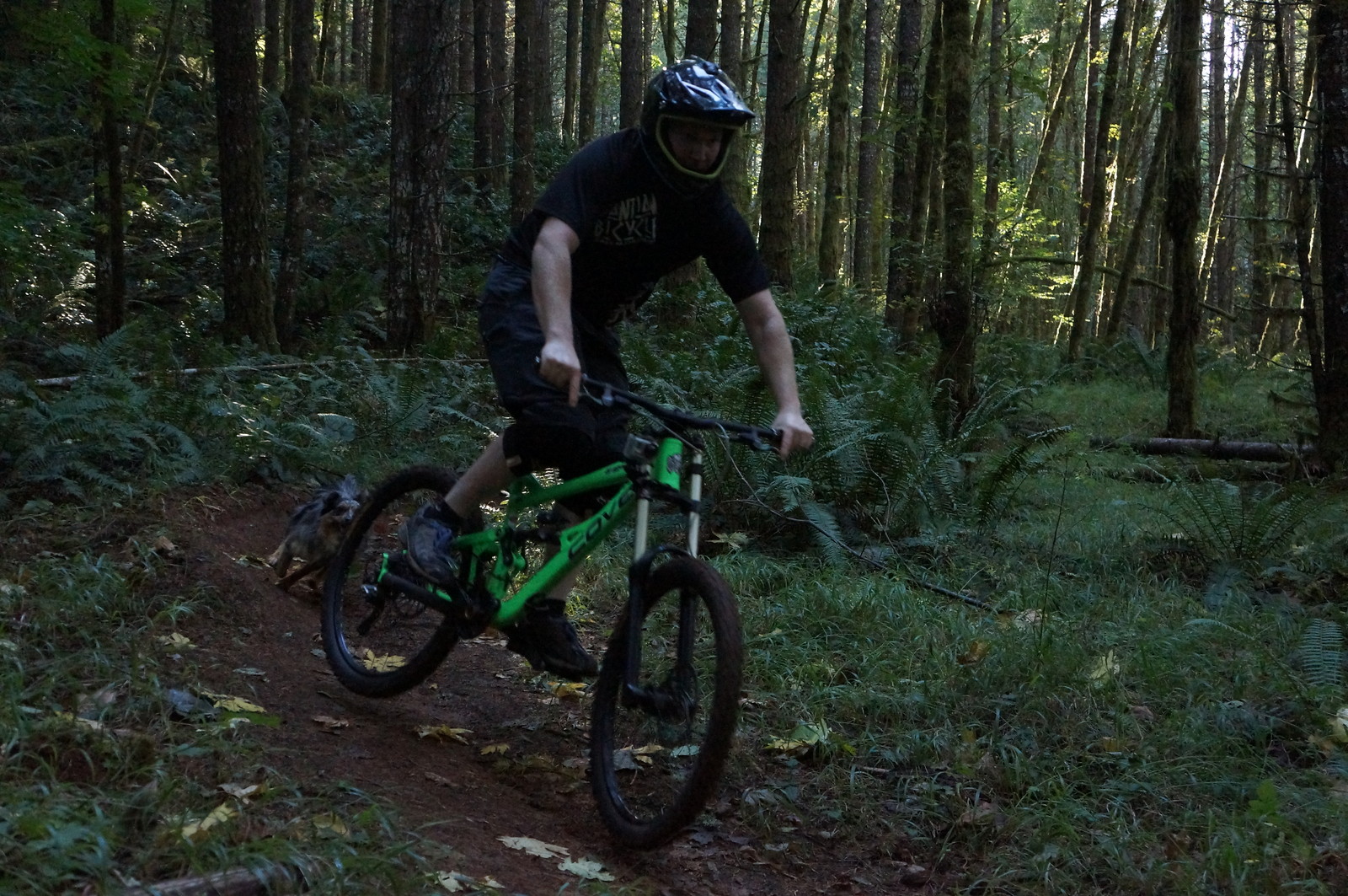 Cove G-spot - Danimal5-0's Bike Check - Vital MTB