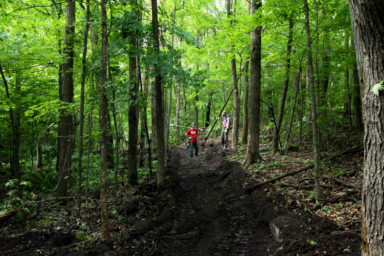 Getting the XC trail in place RideMyDomain Mountain Biking Pictures