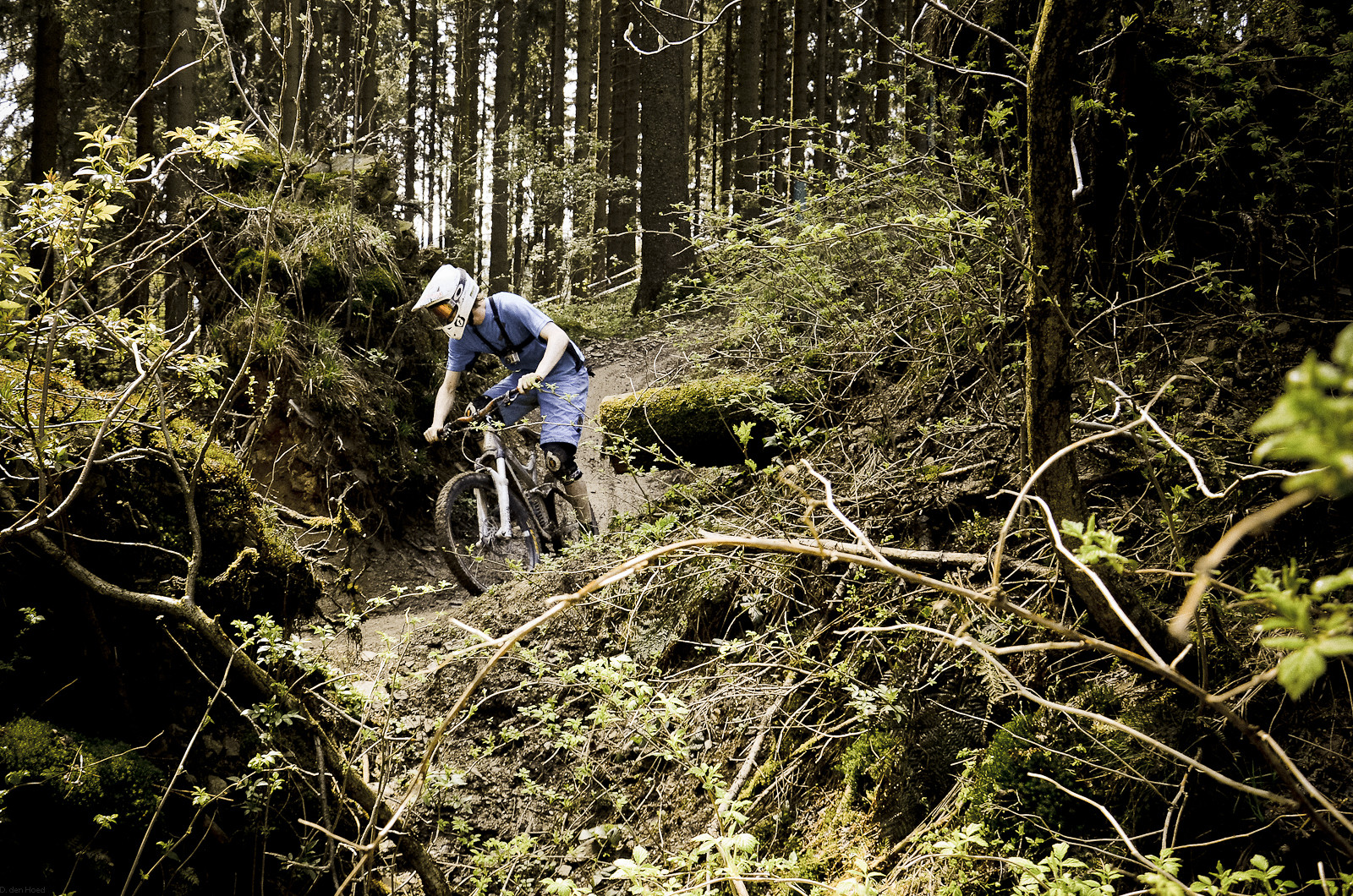 Winterberg single trail