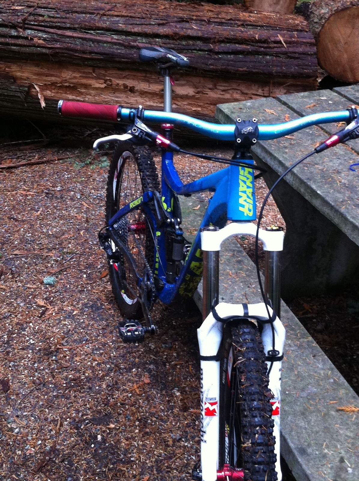 giant reign custom paint