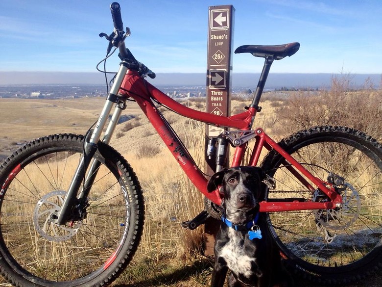 iron horse bike serial number c738u875